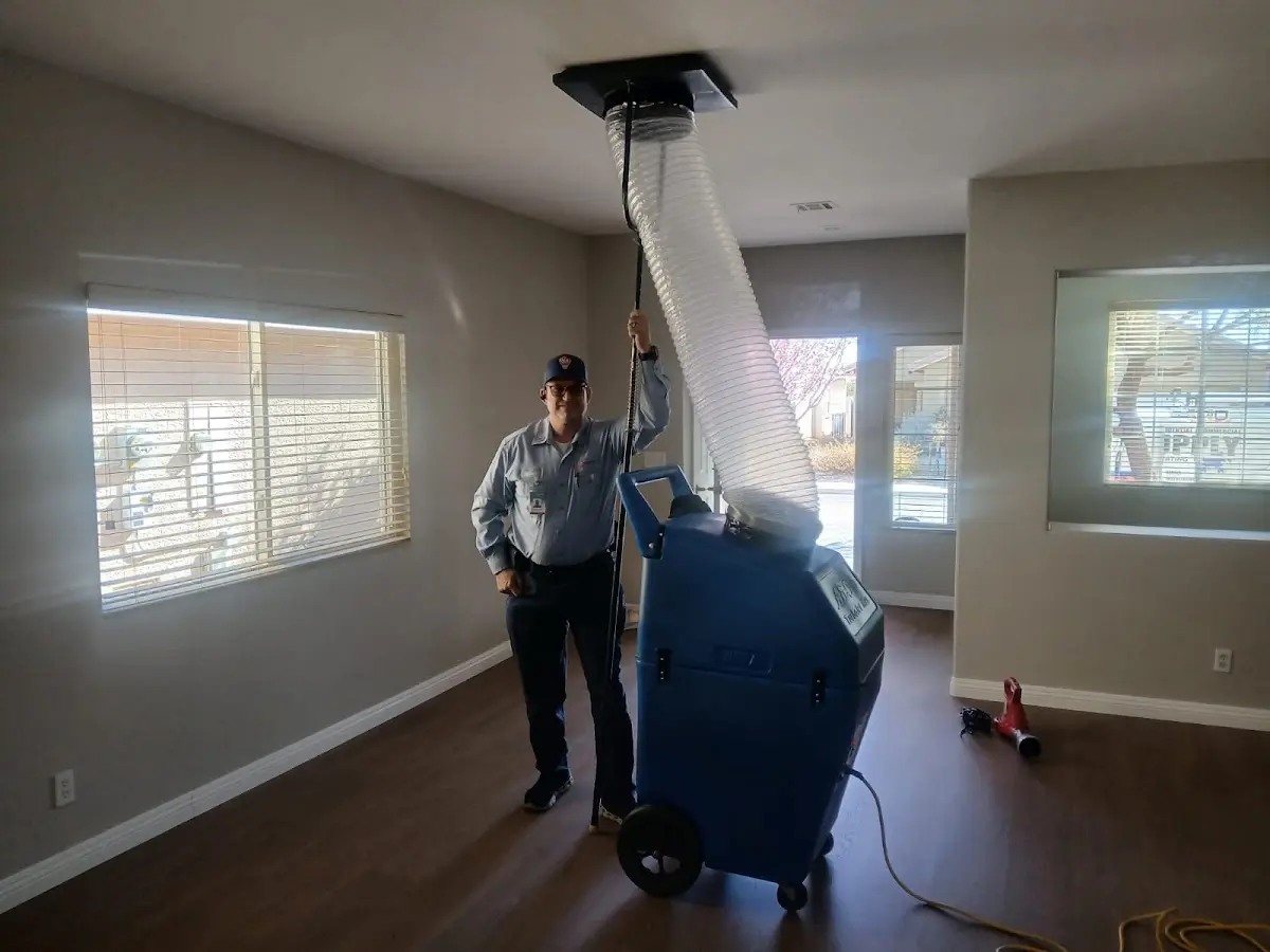 Professional Dryer Vent Cleaning work inside a Irvington home